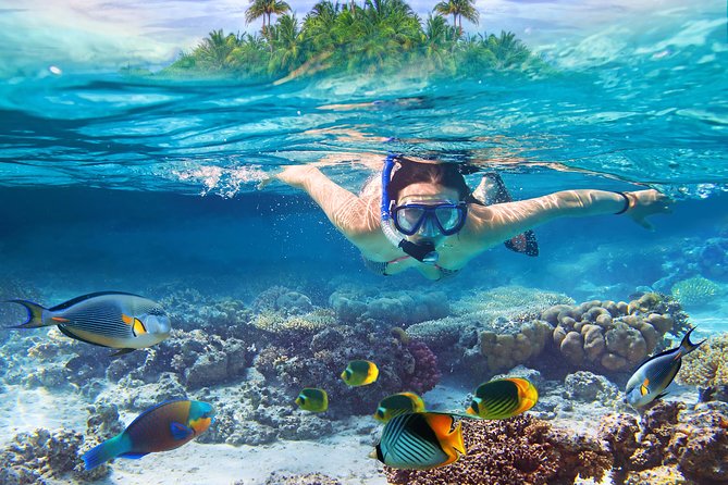 Bali Blue Lagoon Snorkeling Experience - Tanjung Jepun adds a second view of the reef