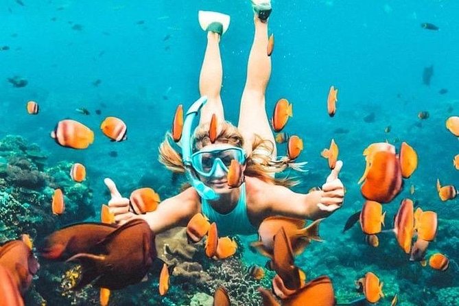 Bali Blue Lagoon Snorkeling - Lunch and Transport All Inclusive - Blue Lagoon and Tanjung Jepun: the day’s best hour