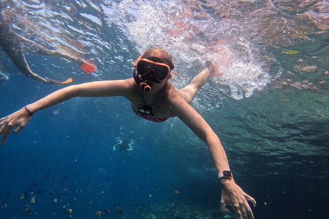 Bali Blue Lagoon Snorkeling - Lunch and Transport All Inclusive - Lempuyang Temple and the Gates of Heaven