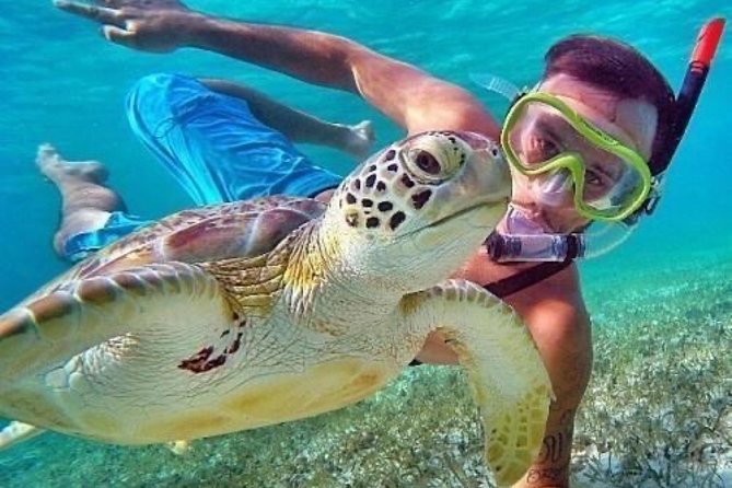 Bali Blue Lagoon Snorkeling - Lunch and Transport All Inclusive - Coffee plantation tasting and local production