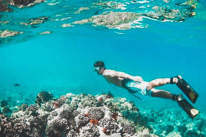 Bali Blue Lagoon Snorkeling - Lunch and Transport All Inclusive - What the $39 price really covers