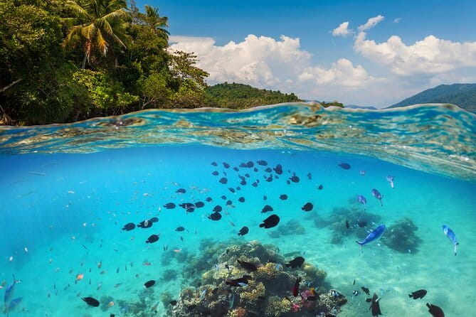 Bali Blue Lagoon Snorkeling Tour All Inclusive - Why Blue Lagoon and Tanjung Jepun make a good pair