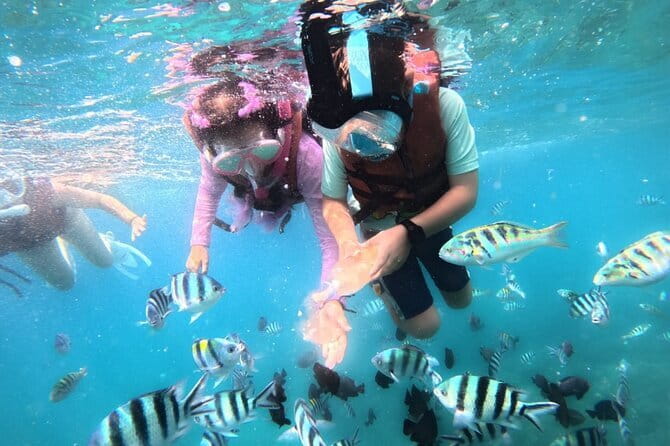 Bali Blue Lagoon Snorkeling Tour All Inclusive - What the snorkeling is like