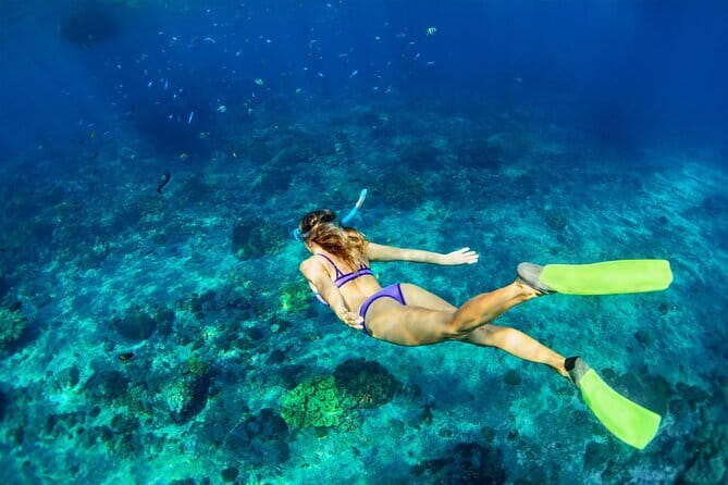 Bali Blue Lagoon Snorkeling Tour All Inclusive - The possible Ubud waterfall upgrade