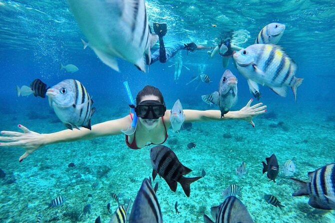 Bali Blue Lagoon Snorkeling with Optional Tour & Activities - Is $12.22 good value?