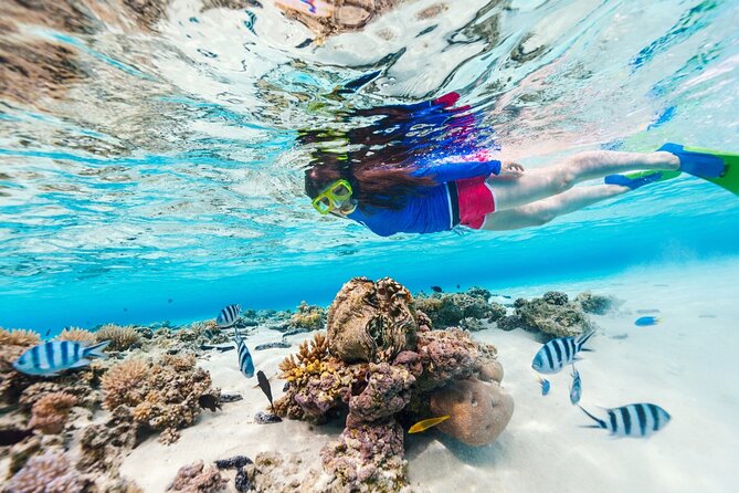 Bali Blue Lagoon Snorkeling with Private Transfer and Lunch - Lunch and the practical comforts afterward