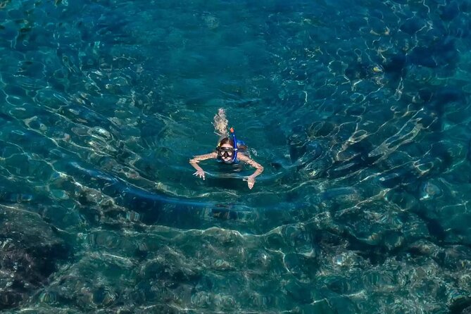 Bali Blue Lagoon Snorkeling with Private Transfer and Lunch - Service quality and the driver experience