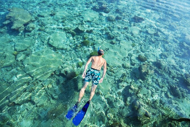 Bali Blue Lagoon Snorkeling with Private Transfer and Lunch - Who will get the most from this outing?
