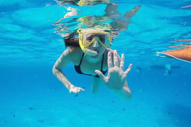 Bali Blue Lagoon Snorkeling with Private Transfer and Lunch - What you can expect beneath the surface