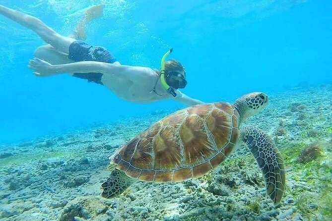 Bali Blue Lagoon Snorkeling with Private Transfer & Lunch - Small details that make the day easier