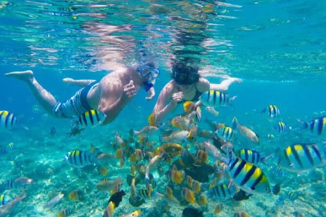 Bali Blue Lagoon Snorkeling with Private Transfer & Lunch - Tanjung Jepun and the second look below the surface