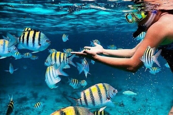 Bali Blue Lagoon Snorkeling with Waterfalls Tour - all included - Blue Lagoon Makes This More Than a Waterfall Tour