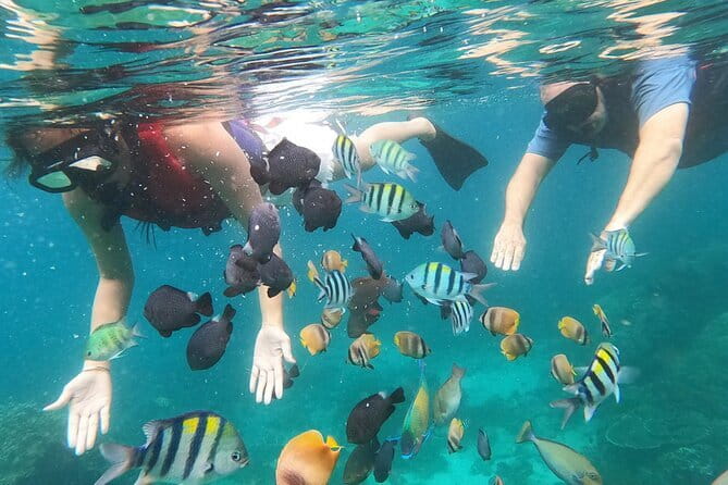 Bali Blue Lagoon Snorkeling with Waterfalls Tour - all included - What the Tour Includes, and What It Does Not