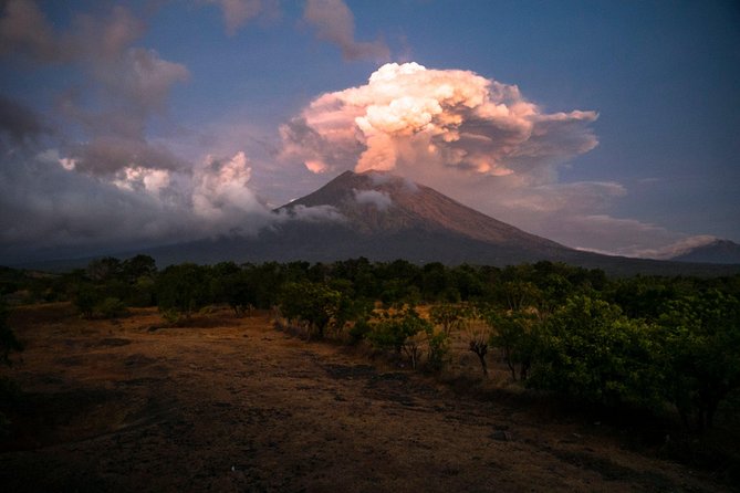 Bali Breathtaking Waterfall Tour (Private & All-Inclusive) - The private car makes the schedule easier