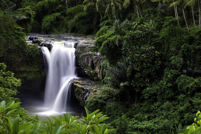 Bali Breathtaking Waterfall Tour (Private & All-Inclusive) - What the $114 price includes
