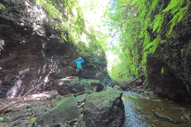 Bali Canyoning Trip – Explore Hidden Waterfalls & Gorges - Why this North Bali canyoning trip is different