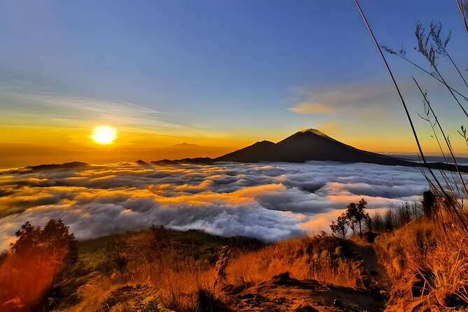 Bali Car Charter with English Speaking Driver - The Sacred Monkey Forest in Ubud