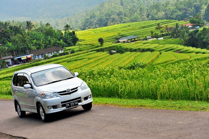 Bali Car Hire with Driver - Timing, communication, and avoiding trouble