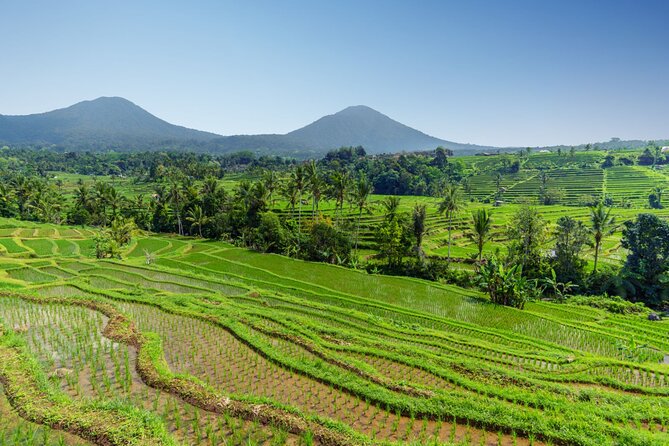 Bali Charm: Full-Day Bedugul and Tanah Lot Tour (UNESCO) - All Inclusive Tickets - Jatiluwih: the day’s most impressive scenery