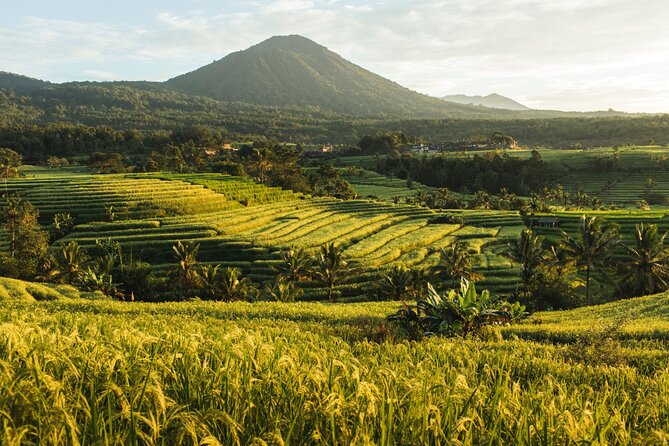 Bali Charm: Full-Day Bedugul and Tanah Lot Tour (UNESCO) - All Inclusive Tickets - The private car makes the long route easier