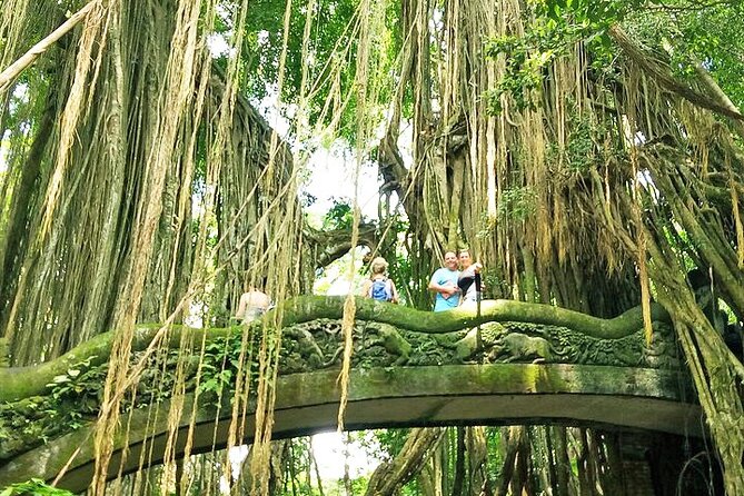 Bali Cooking Class and Ubud Sightseeing Tour - Booking Details and Weather Rules