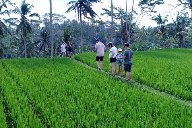 Bali Countryside Cycling Adventure - Why this Bali cycling day earns a place on your itinerary