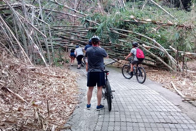 Bali Countryside Cycling Adventure - Rice paddies, Bangli streets, and a Subak water temple