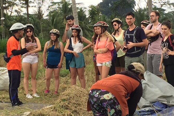 Bali Countryside Cycling Tour by Halo Bike Tour - Returning to Kuta by 4 p.m.