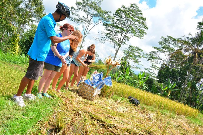 Bali Countryside Cycling Tours - Who should book this ride