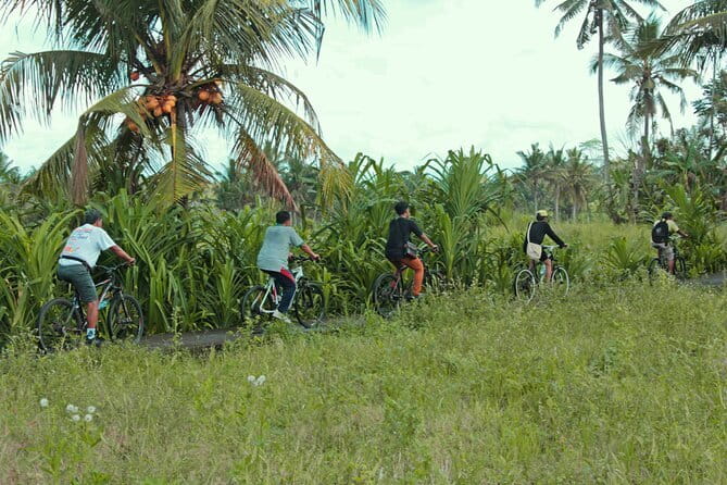 Bali Countryside Eco Cycling Tour include Lunch - From Seminyak traffic to Kemenuh village roads