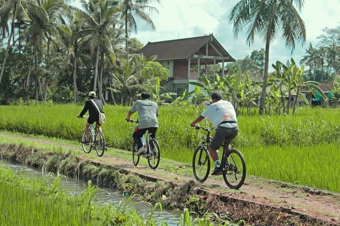 Bali Countryside Eco Cycling Tour include Lunch - Kemenuh’s mostly downhill bicycle route