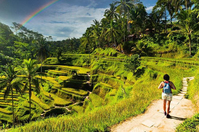 Bali Cultural Experience - Timing, comfort, and the small print