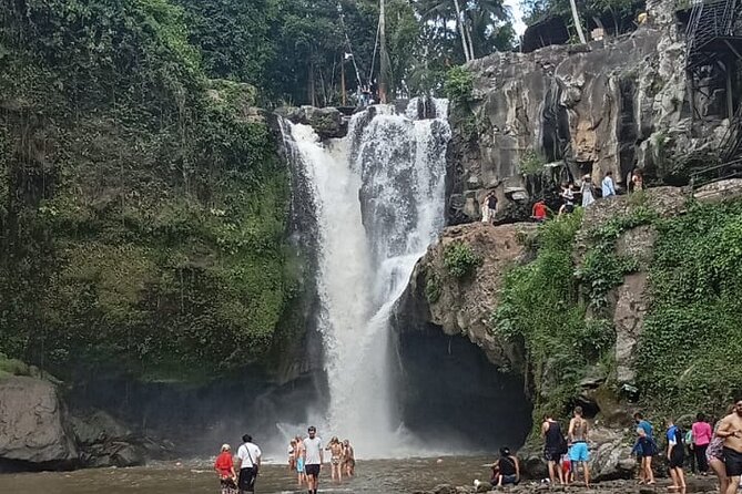 Bali Culture And Spring Temple Private Guided Tour - Tegalalang combines terraces, lunch, and optional thrills