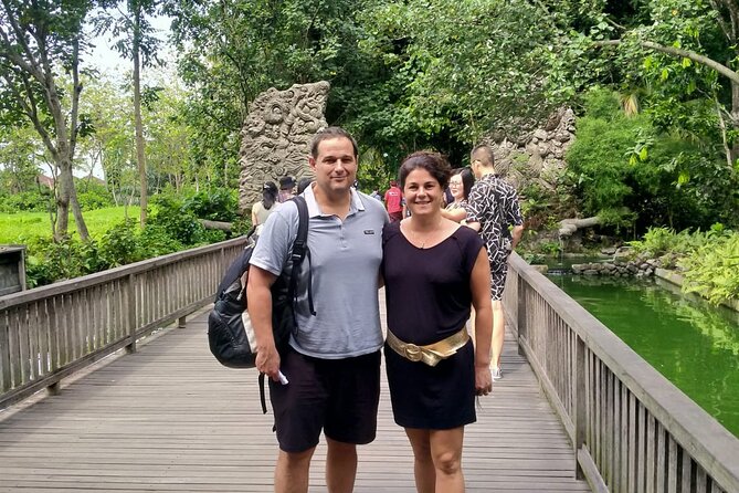Bali Culture And Spring Temple Private Guided Tour - Tegenungan Waterfall ends with a strong view