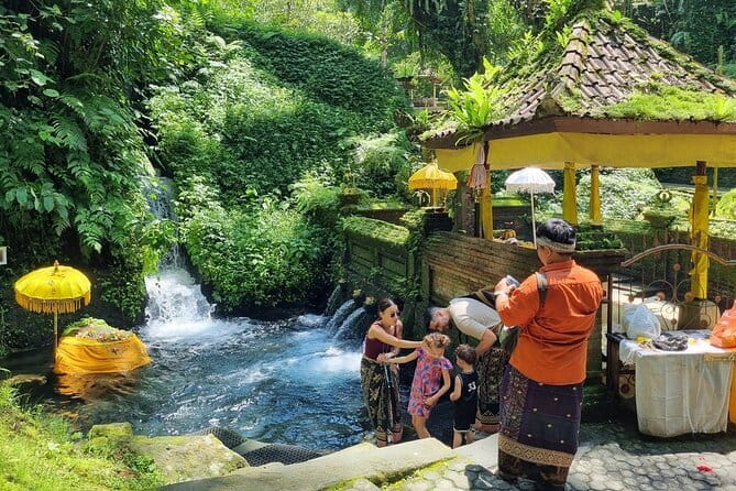 Bali Customizable Multi Language Tour with Driver-Guide - Key points to know before booking