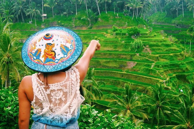 Bali Customizable Multi Language Tour with Driver-Guide - What the driver-guide adds to the day