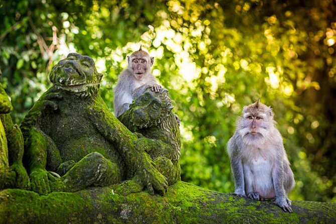 Bali Customized Private Tour - A private Bali day built around your priorities