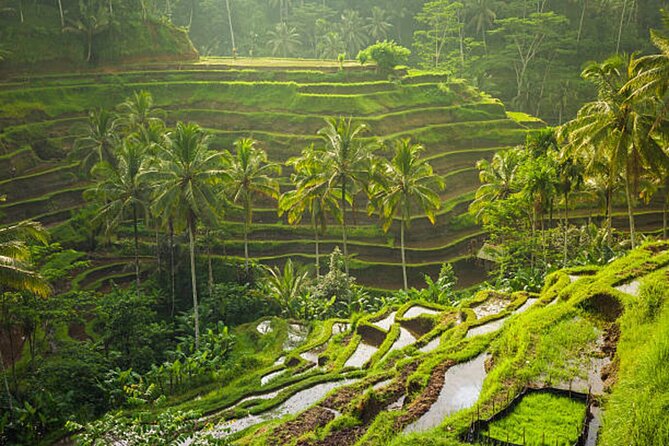 Bali Customized Private Tour - What the 8 to 10 hours really gives you