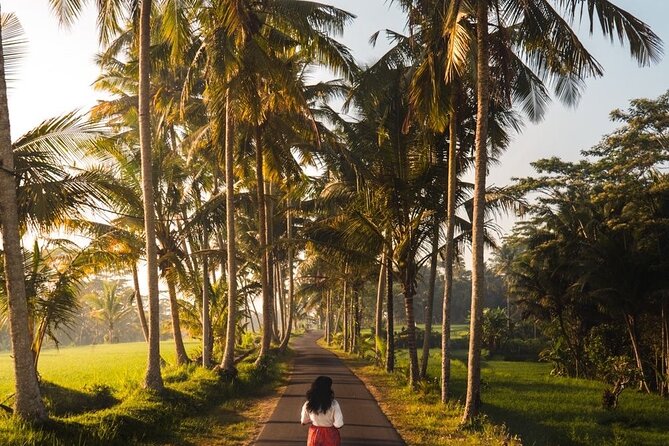 Bali Customized Tour Private Car and Driver - What the driver adds to the day