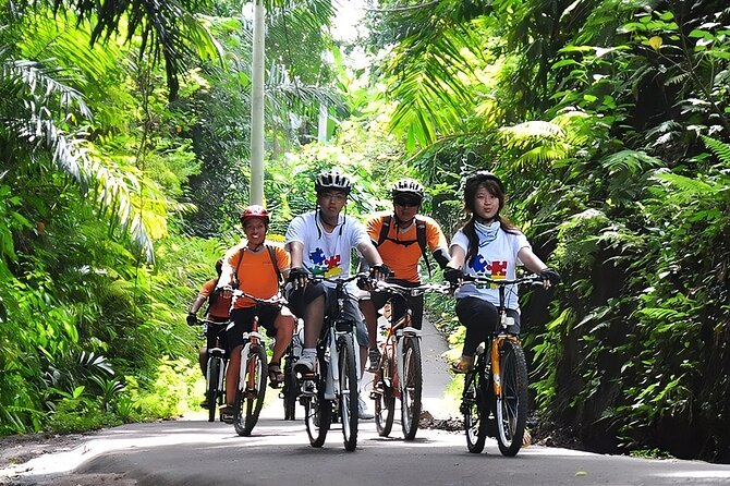 Bali Cycling and Ubud Waterfall Tour - A long day from Seminyak into Bali’s interior