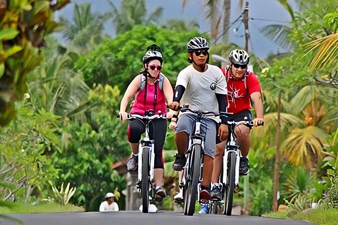 Bali Cycling and Uluwatu Tour Packages - 7:30 a.m. pickup and the road to Kintamani
