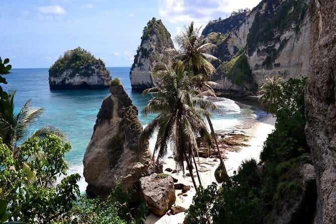 Bali Day Trip: Bali Instagram Tour (All Inclusive & Private) - Coffee and tea tasting at Cantik Agriculture