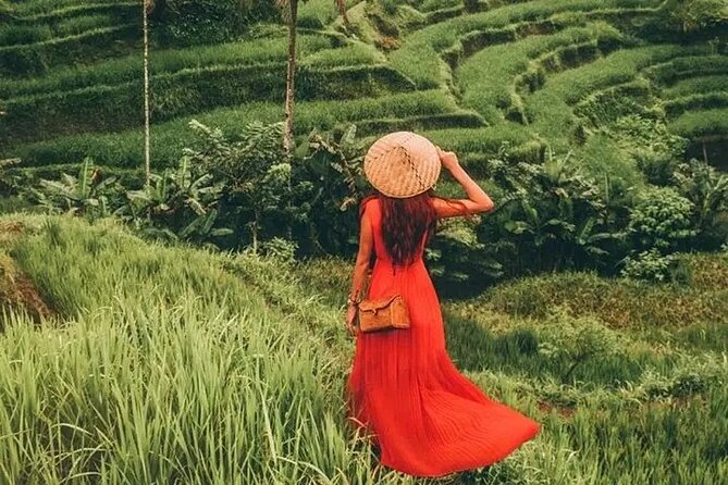 Bali Day Trip to Ubud Highlight Tour and Tanah Lot Temple - Tanah Lot: the coastal finish and sunset view