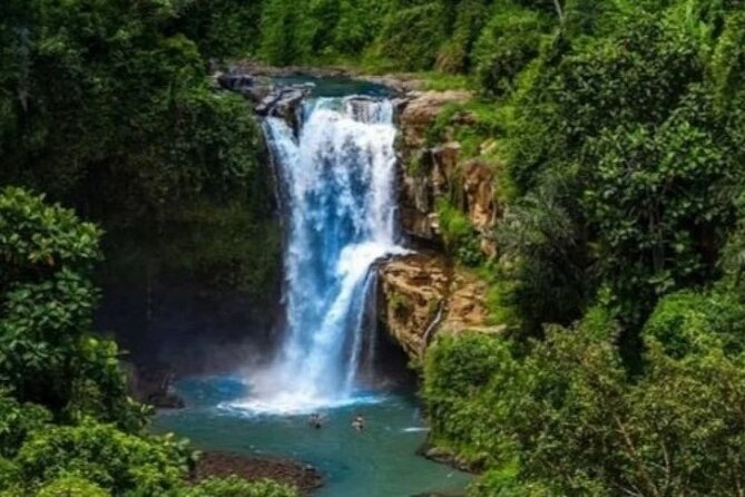 Bali Day Trip to Ubud Highlight Tour and Tanah Lot Temple - Who will enjoy this route most