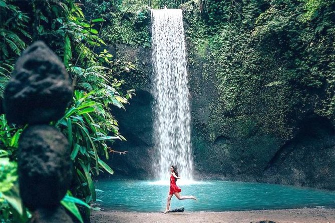 Bali Day Trip: Ubud Temples & Hidden Waterfalls - Tegalalang Rice Terrace and the final views