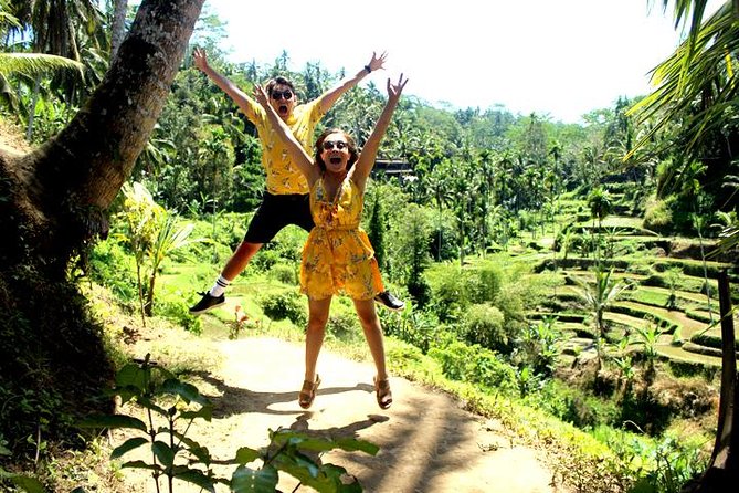 Bali Day Trip: Ubud Temples & Hidden Waterfalls - What private transport changes