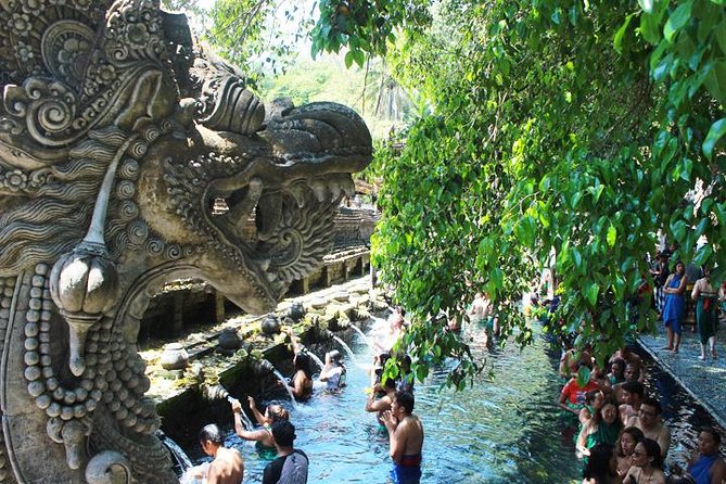 Bali Day Trip: Ubud Temples & Hidden Waterfalls - Who will get the most from this day