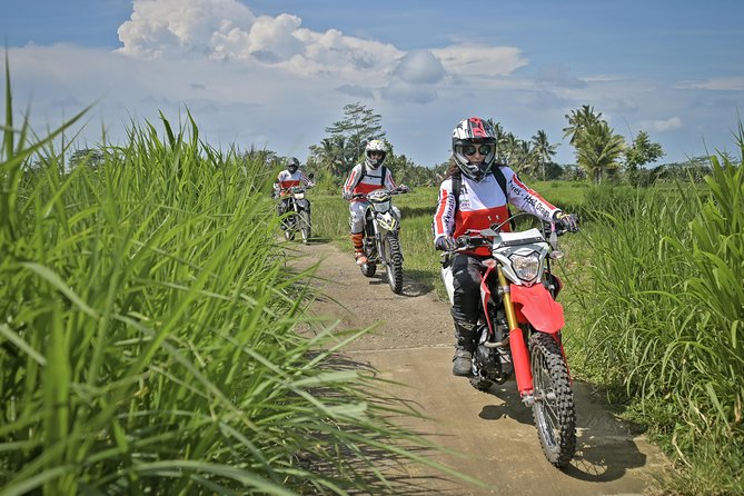 Bali Dirt Bike Adventure - Forest trails near Mount Agung
