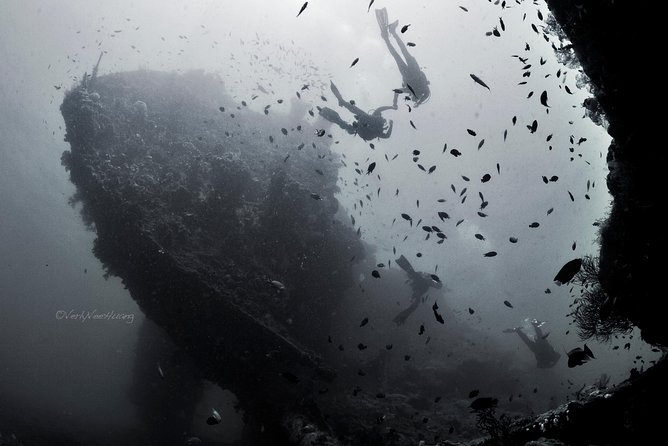 Bali Diving Day Trip-Manta Point/Tulamben Shipwreck-Fun Dive - The early start from Seminyak and Sanur