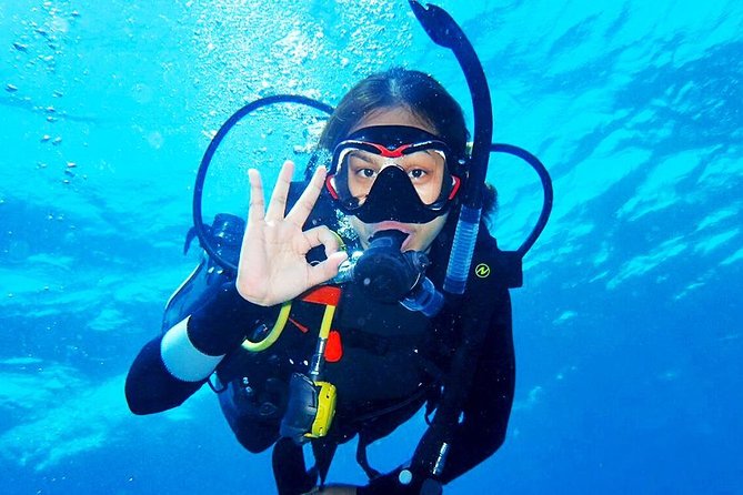 Bali Diving for Beginners: Tulamben Liberty Wreck - Your Morning Begins With Pickup or a Simple Meeting Point